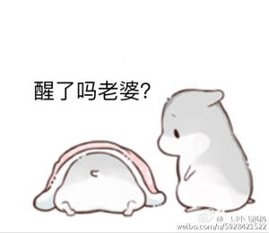 仓鼠球表情包系列老婆起床