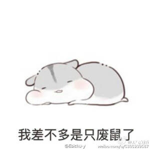 仓鼠球表情包系列颓废