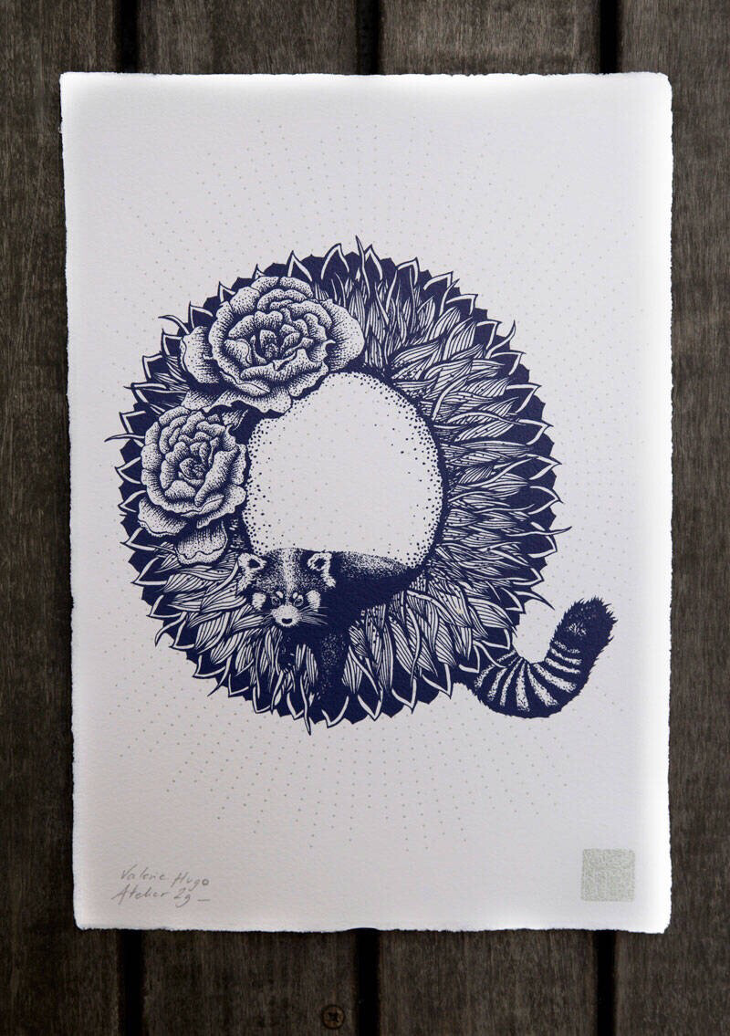 字体设计字母q手绘图片