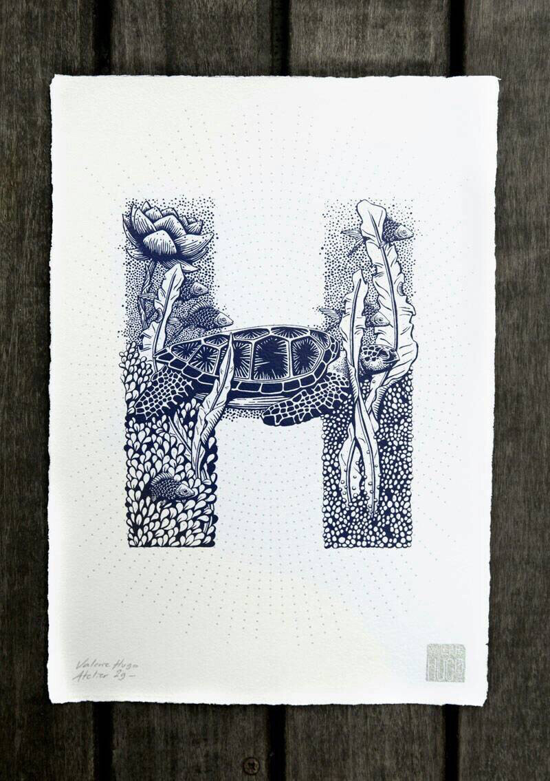 字体设计字母h手绘图片