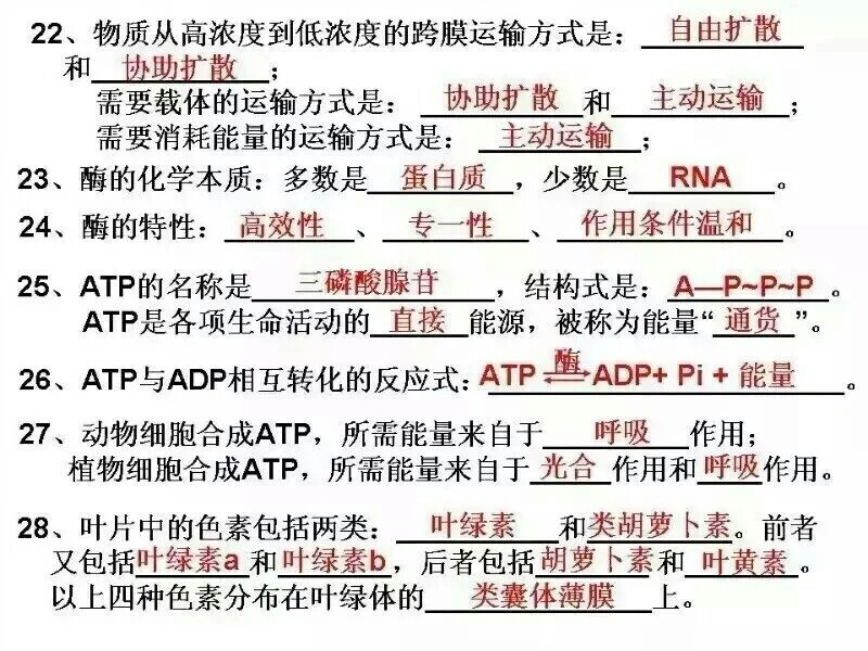 高中生物必修一知识点