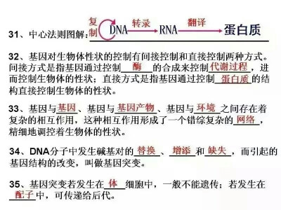 高中生物必修二知识点