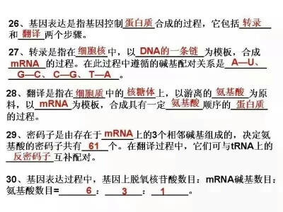 高中生物必修二知识点