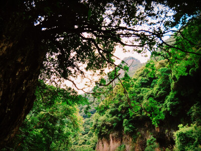 崇山 葱郁