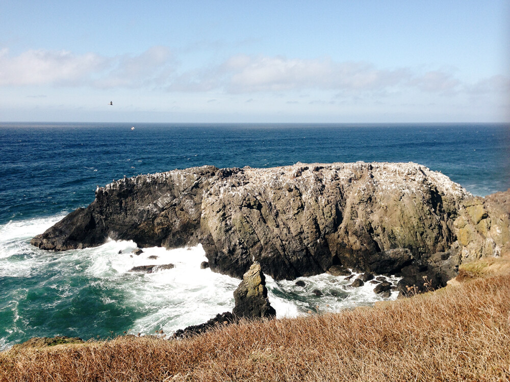 Yaquina Head Lighthouse
太平洋西北海岸那么多景点，Yaquina却有它的独特之处。这里的海滩没有细沙，取而代之的是黑色的鹅卵石。海浪拍打着堆积在岸边的小石头，撞击之间发出叮叮咚咚清脆的响声，非常特别。
Yaquina灯塔所采用的菲涅耳镜头在法国巴黎制造，1873年运抵俄勒冈后首次点亮并使用至今。规模较大的灯塔通常有一个管理员和两个助理，管理员和一级助理的家人均在此居住，二级助理则往往是个单身汉。遥想百年前，交通不发达，灯塔又往往位于距离城镇遥远的海岬处，大一点的Yaquina或有好几人在那里工作，小一点的灯塔有时仅有一两个人驻守。我难以想象经年累月独自面对太平洋的寂寞