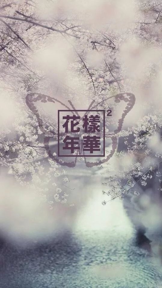 防弹少年团 花樣年華