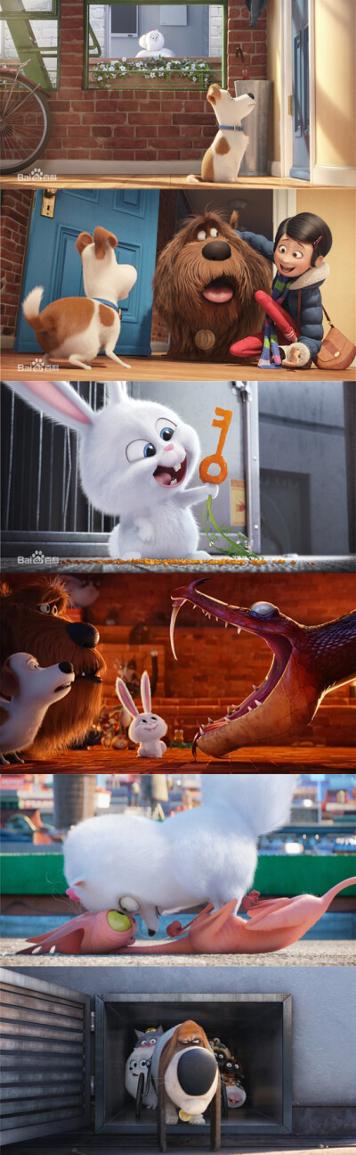 【爱宠大机密 The Secret Life of Pets】克里斯·雷纳德 / 亚罗·切尼.2016——“爱宠”只需要让每个养过宠物的人会心一笑，即可无差别笼络人心。剩下的，就是让所有观众都开怀大笑即可。简单的就是快乐的。