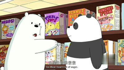 ICE BEAR