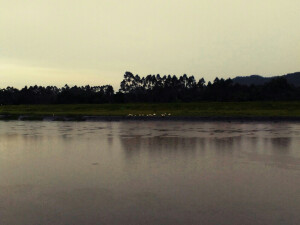 下蒙蒙雨的天仍能见到牧羊人放羊^ω^