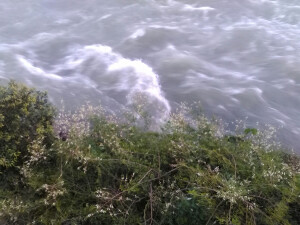 手机像素渣，但是我还是蛮喜欢这张的^o^