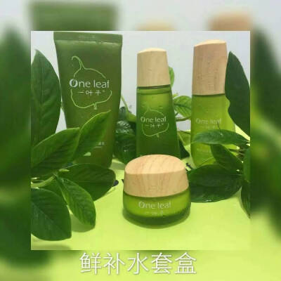 一叶子植物护肤
因为我在用，所以我推荐；
因为有效果，所以我钟爱；
因为有价值，所以我坚持！