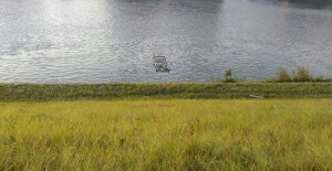 这天去了河的对岸走，见到了小羊^o^