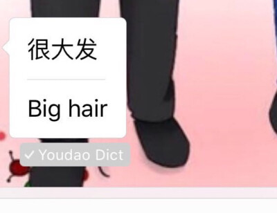 来自有道神翻译 why not very big hair 