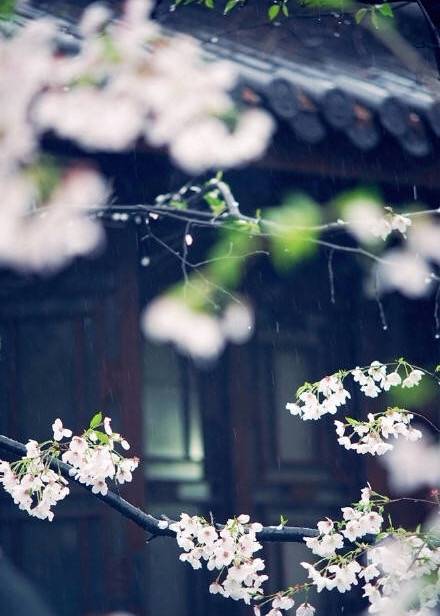 潇潇春雨愁煞人