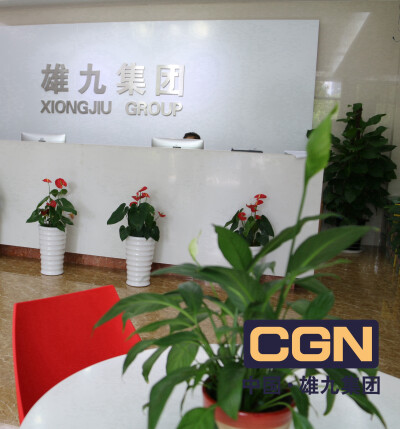 CGN雄九集团 九口袋 全网营销