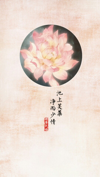 荷花 壁纸 古风 将琴代语出品 （花图素材非原创，侵删）