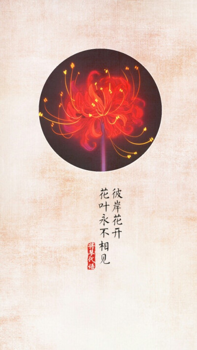 彼岸花 壁纸 古风 将琴代语出品 （花图素材非原创，侵删）