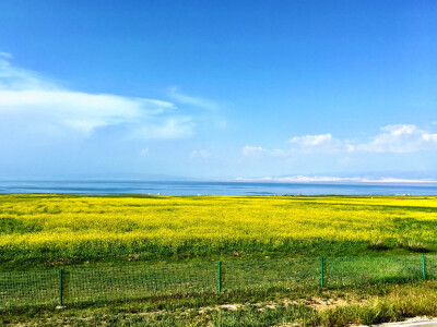 西北大环线 青海湖