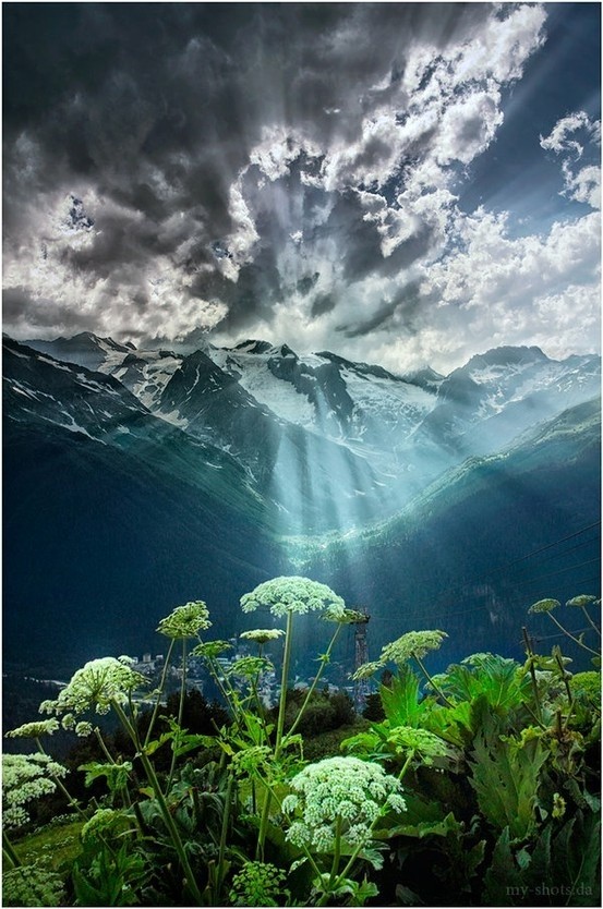 唯美 小清新 治愈 大气磅礴 摄影 人物 植物 怀旧 封面 风景