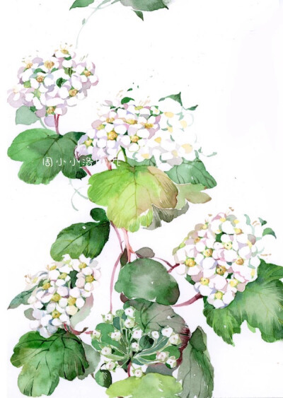 忘了归来，不道春将暮