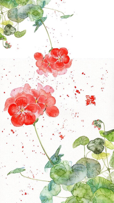 忘了归来，不道春将暮