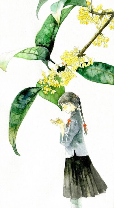 忘了归来，不道春将暮