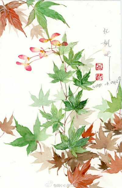 忘了归来，不道春将暮