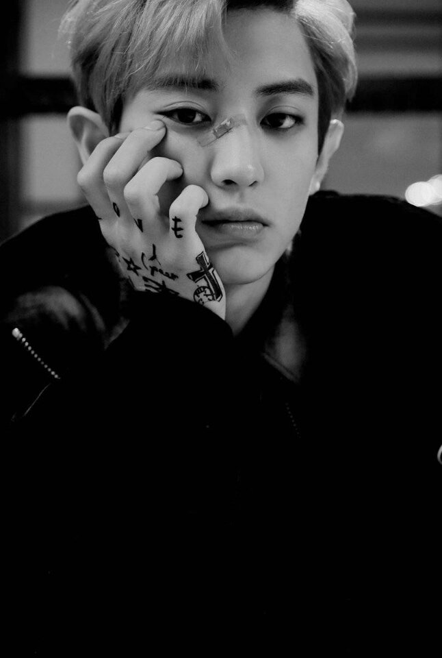 EXO 《LOTTO》个人宣传照CHANYEOL