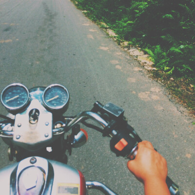 我走过的千山万水。