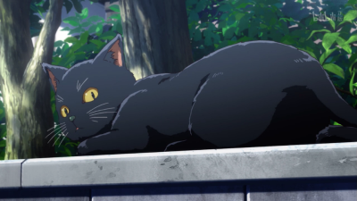 这个美术社大有问题 黑猫