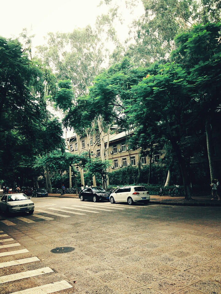 厦门大学