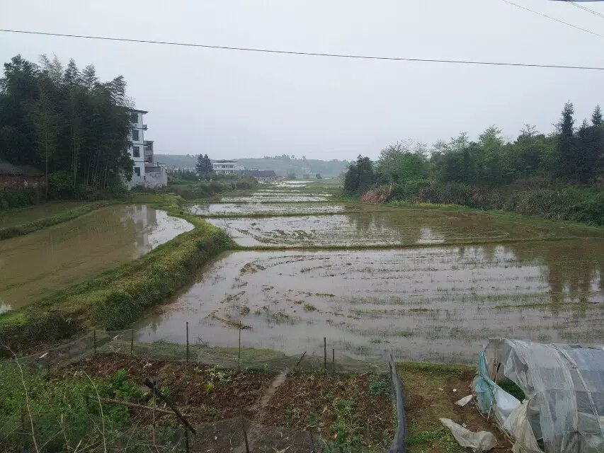 摄影 乡村美景 随拍