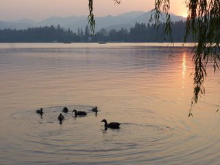 西湖，美景，夕阳