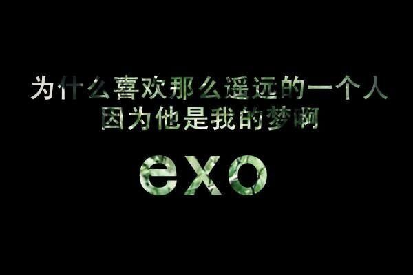 EXO，唯十二