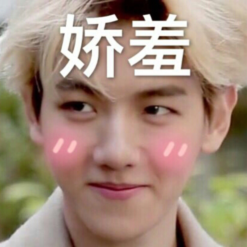 exo边伯贤表情包