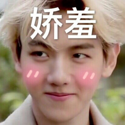 exo边伯贤表情包