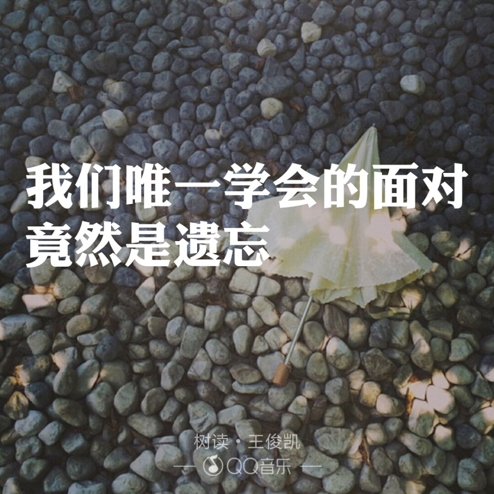 给自己的歌