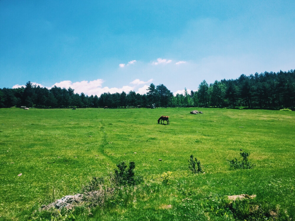 让我困在城市里，纪念你.