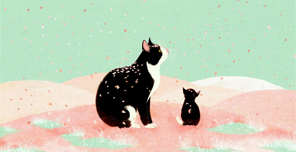 猫咪(๑>؂<๑）