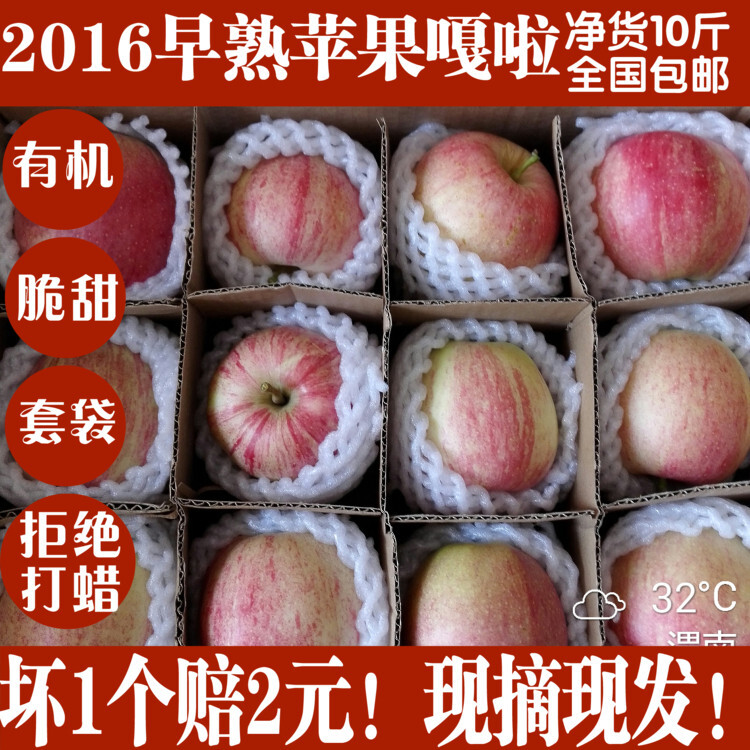 陕西新鲜早熟苹果嘎啦时令生鲜水果PK洛川栖霞红富士10斤apple