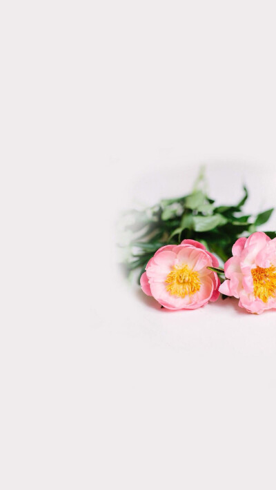 还是花