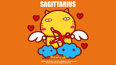 哈咪猫十二星座