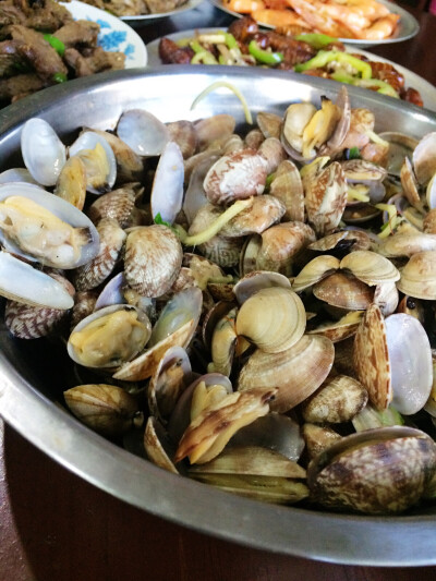 蚬子，20160818。