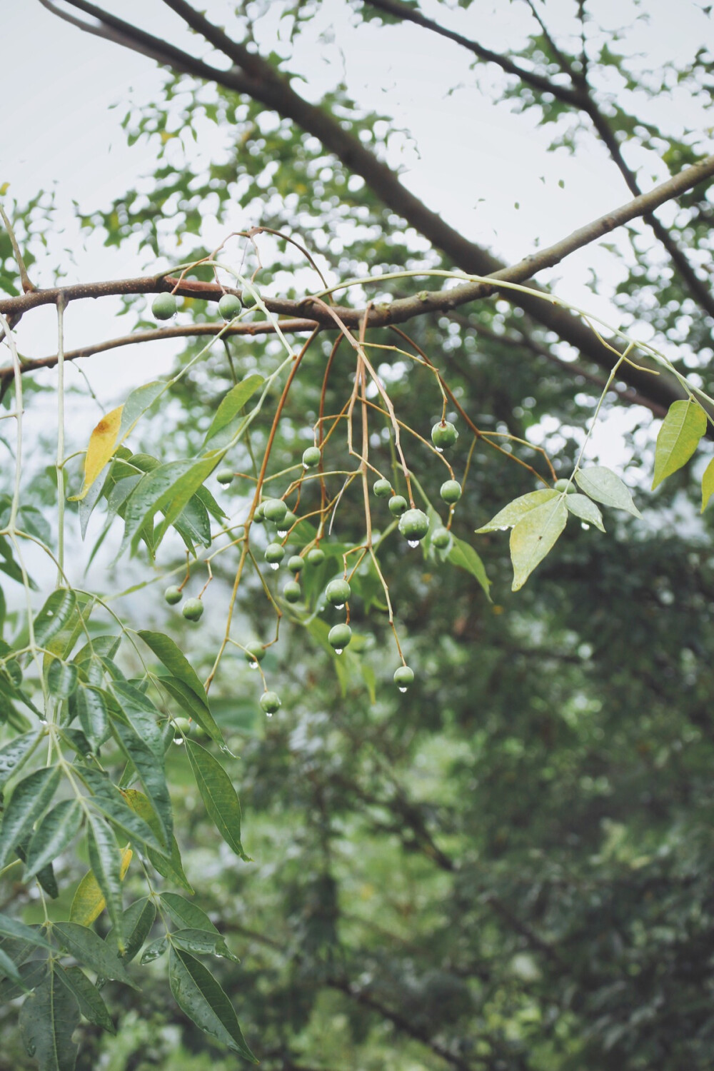 微风细雨独自前行