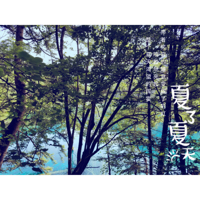 所有的风景都很美