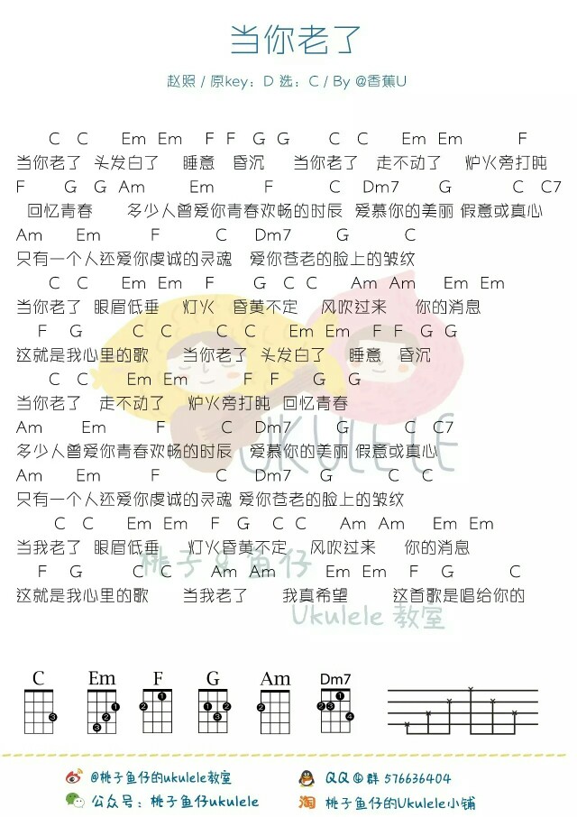 当你老了 最开始是读叶芝的诗 诗中的情感太深 后来听了赵照改编的歌 每听一次心就很柔软