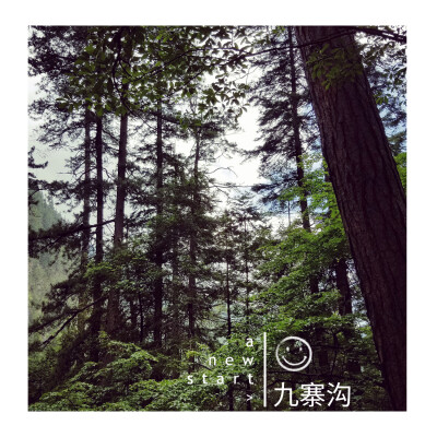 所有的风景都很美