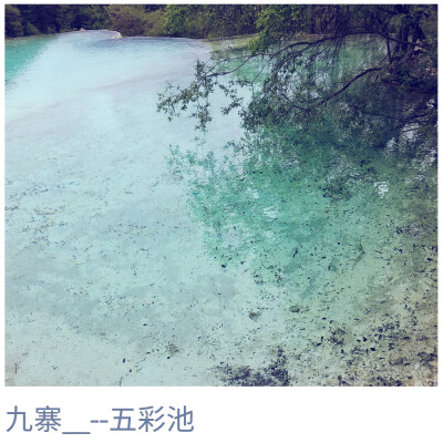 所有的风景都很美