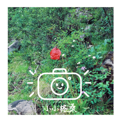 所有的风景都很美