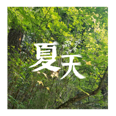 所有的风景都很美